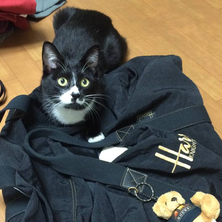 6d8e4d57 222d 40fd a76b 27122ef8f0ae 1508489344551