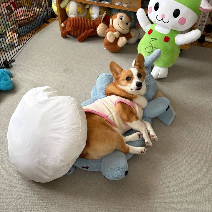 6d8e9346 2d63 4d65 a289 4129432e0b88 1767756579986