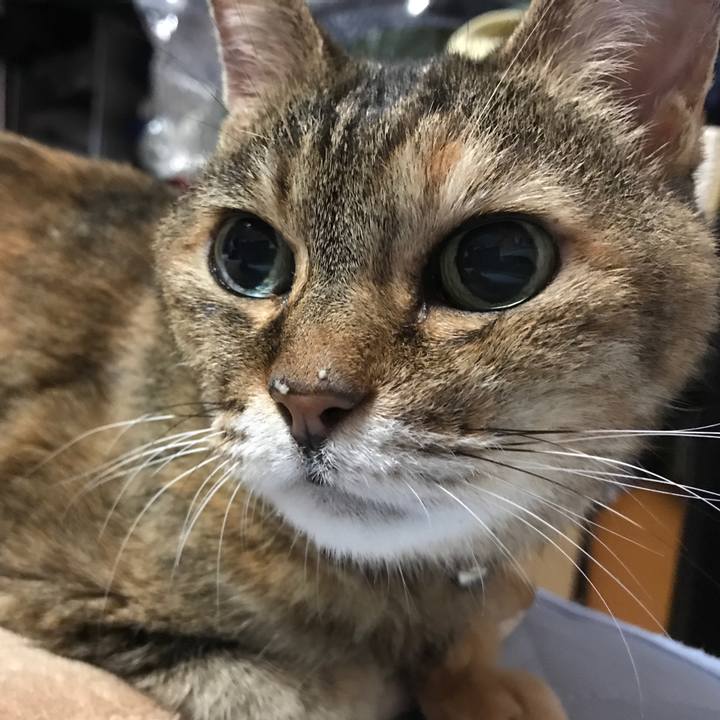 6d8e9a6a 177d 4534 a73b 210eeaf02601 1533244634910