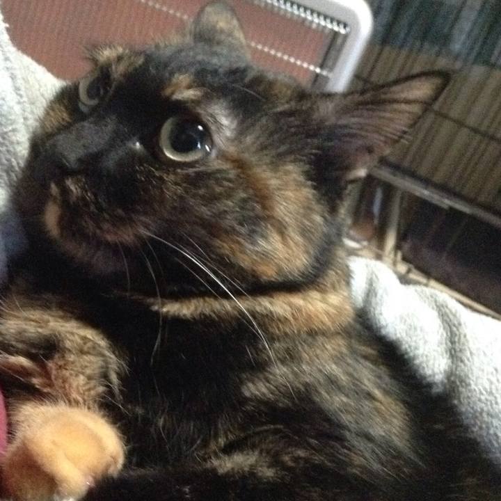 6d8eaa90 b93a 4aaf a9cb adbfbd844f5e 1514017023049