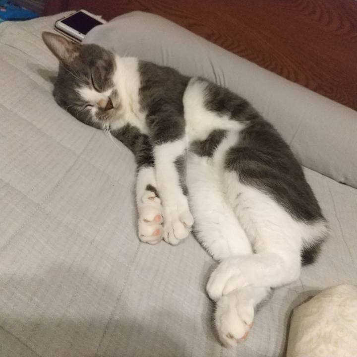 6d8ee034 5886 4932 b96a 7421446deeff 1633704584065