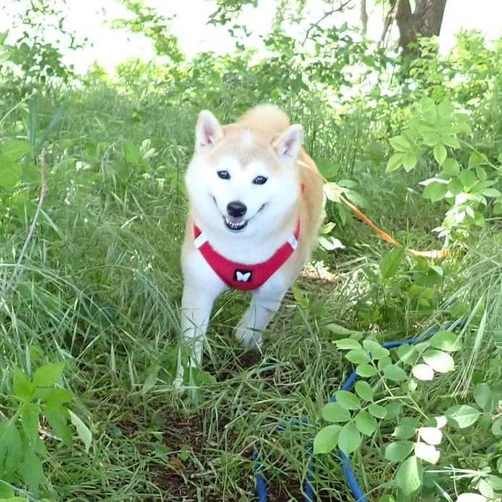 6d8efeab 0525 4037 8904 ef2fd2b0af69 1756931083571