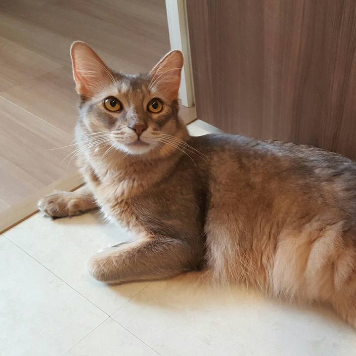 6d8f094c 0a50 4834 bf46 69cff27a0f12 1539485288714