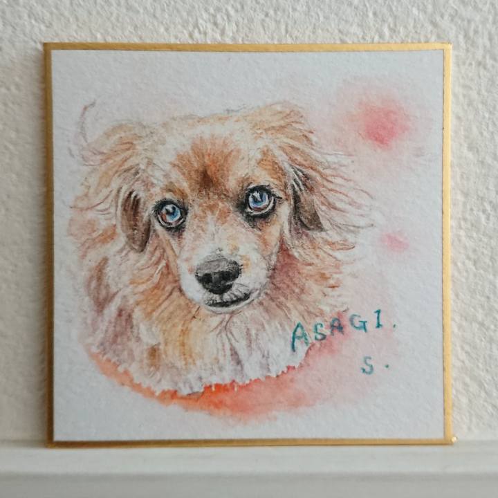 6d8f2379 b3ea 4915 8fab c01cc9ea2e39 1584951362455