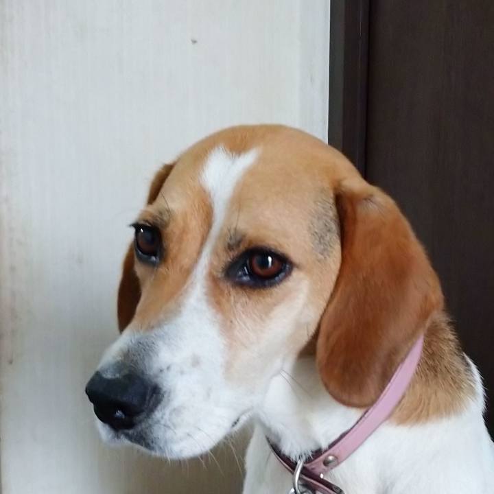 6d8f3638 853a 4eab 95cd 55cbb9ba6b77 1595483664168