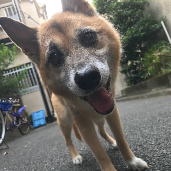 6d8f4bb5 713d 45f5 8f22 5a7c3d9307e8 1533246739239