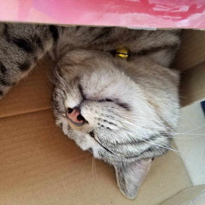 6d8f5529 fd66 45a5 8968 712c3b464dc6 1675091722267