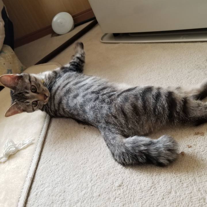 6d8f6c6f a2ae 4703 86ce b74a462f98f3 1669527046697