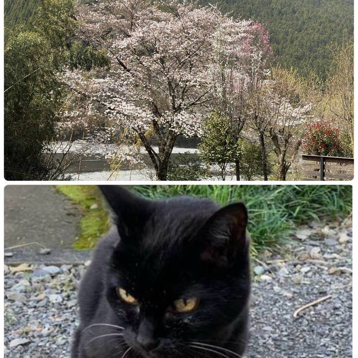 6d8f8d94 6d8f 42b1 88ef 6c6cee6ba4b4 1774673969790