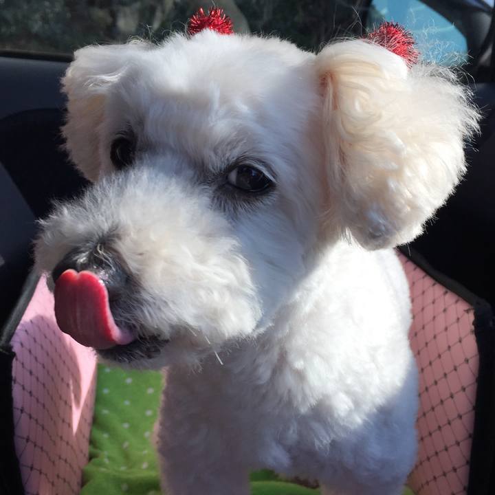 6d8fb3ab d084 4d79 8f2b c8038883bd81 1513244776064