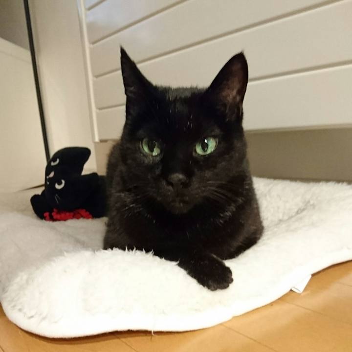 6d8fb49a d6d5 4522 88ed 47320098b7e3 1508413480887