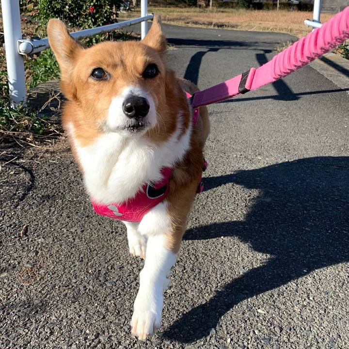 6d8fc66b 23b7 4764 9056 607ffdeae542 1703212032070