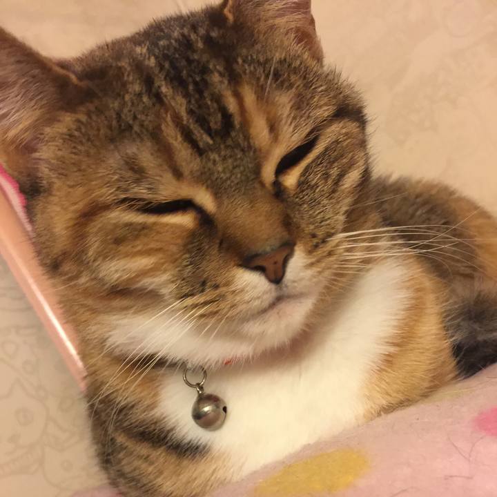 6d8fce8a 81be 4085 aa59 2d73436fc1e4 1549355381338