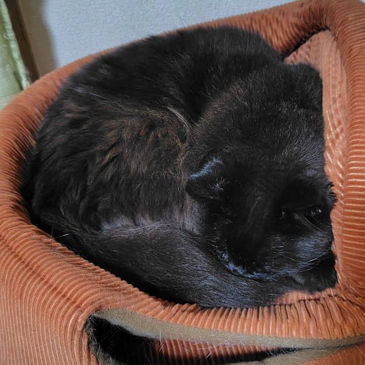 6d8fd6b9 9ddf 42e4 8546 a66ba12245a3 1717331355759