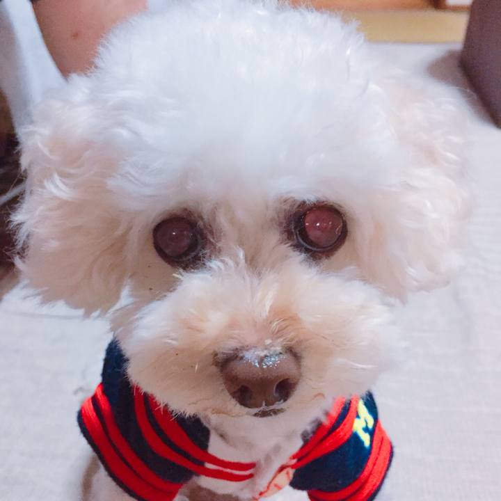 6d8fe62e da5a 409a aa7f 40303523e0c6 1533431824376