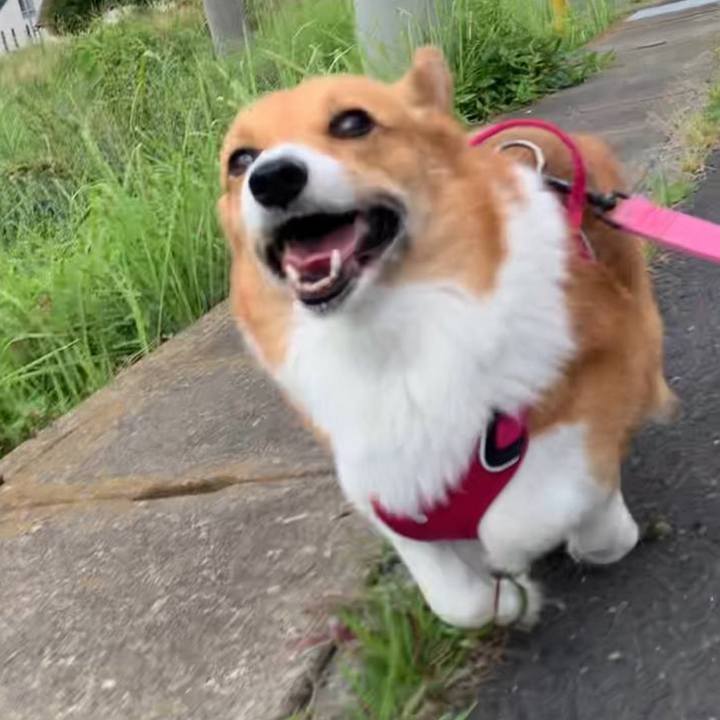 6d902263 0e08 4f2f 9929 bbd0d58489d2 1765337527731