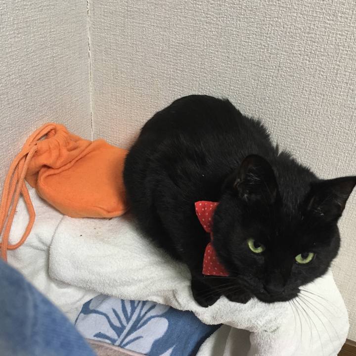 6d906674 647e 4336 8868 0e960b75ce77 1551267386654