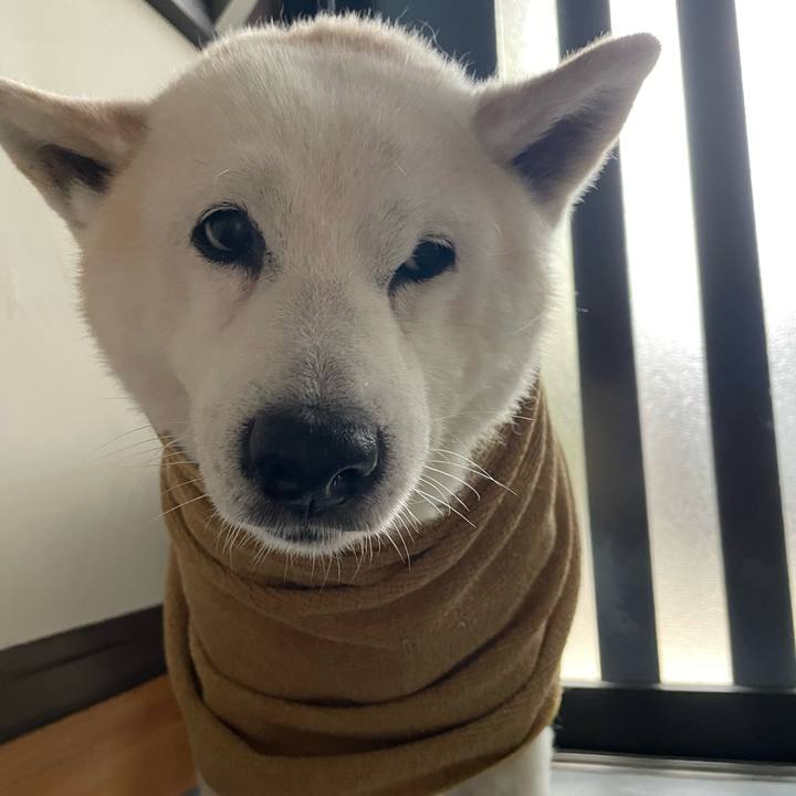 6d906c3b 2cf4 4ba1 8367 c928f4b4760a 1686694725517