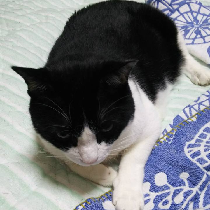 6d90746e 4099 4622 92f9 3fe6e2edf584 1535853081262