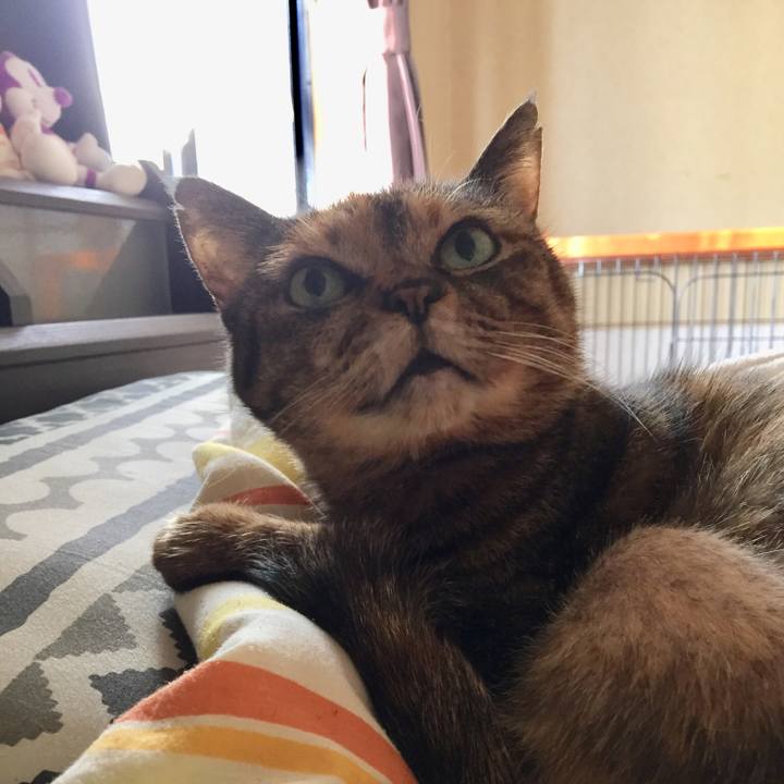 6d9082dc 34ea 42e3 8e61 d3370e74edf3 1544922062705