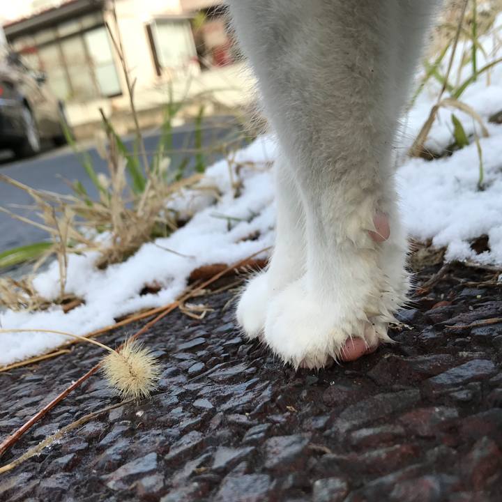 6d90846c 729b 4b9a 956c bdedb025e488 1513125593896