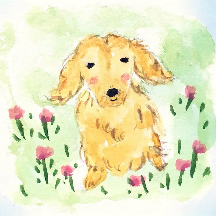 6d90a3ae 4eea 4016 9782 586edaa2aac4 1650963253127