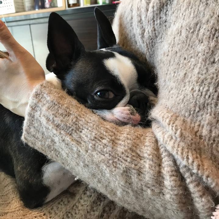 6d90dceb af03 4514 8d54 63b19381ae84 1612437997523