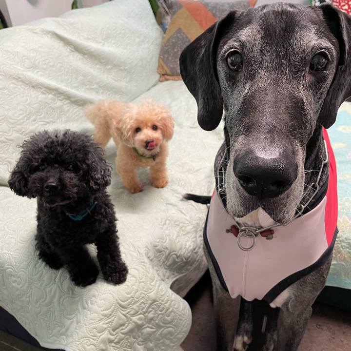 6d91181c caab 4289 a36d 8c35e5f41753 1631832698377