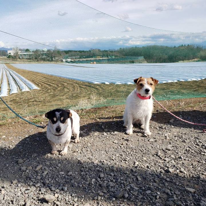 6d9131f1 ef65 4cd3 b2c9 e1415c3f08f0 1647764497325