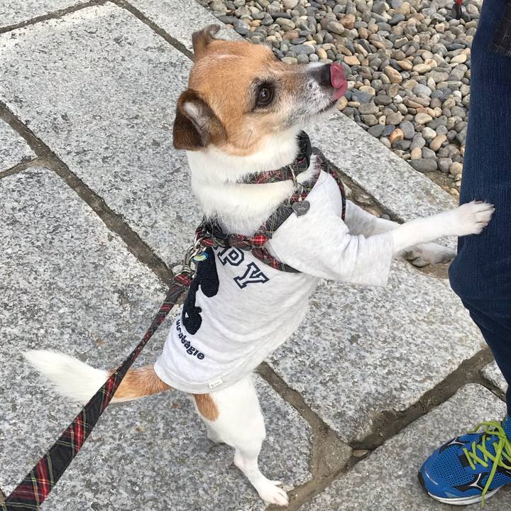 6d9139a1 5269 4baf 928d dffc6f79c714 1543127298891