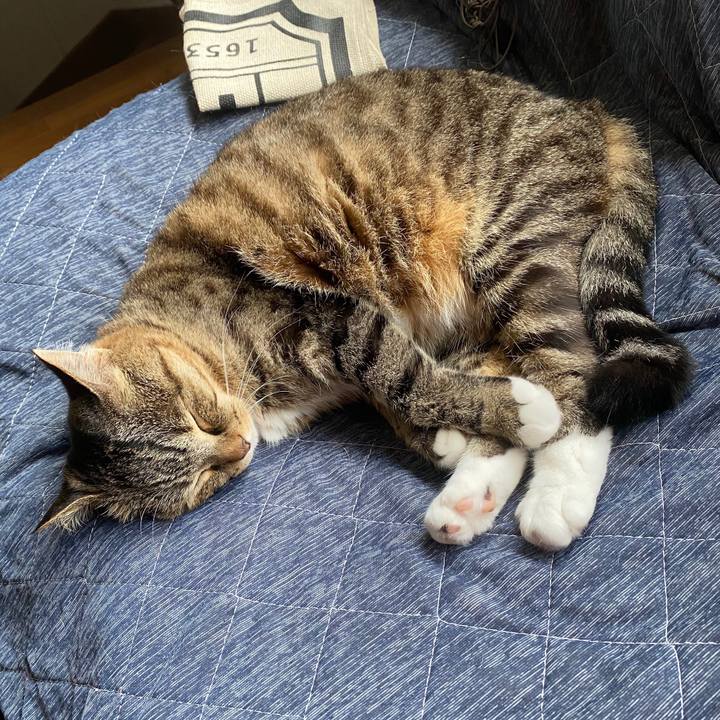 6d914cf5 2b84 42cf 99af 9a8ad029fb94 1592037355941