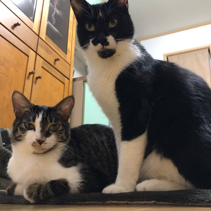 6d915aab 1e75 44df afd9 898d6b95f0f7 1550235892373