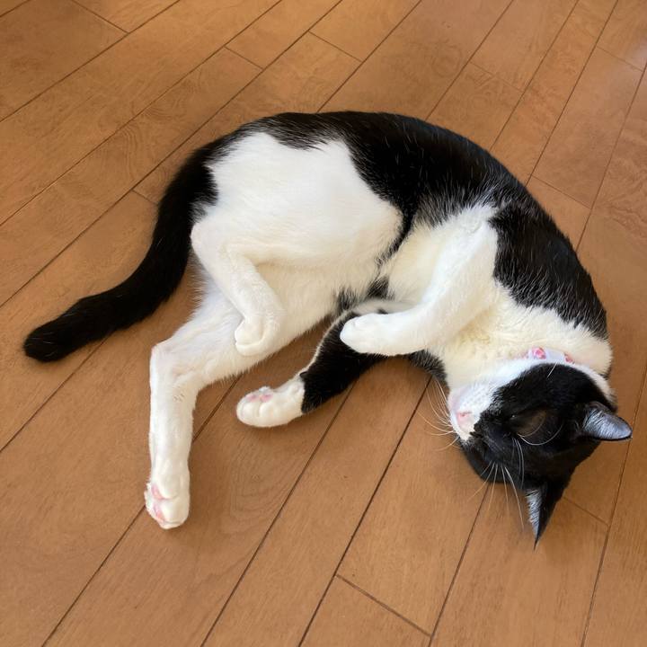 6d91728e e93d 4339 9bfa a02321eff79a 1613532775431