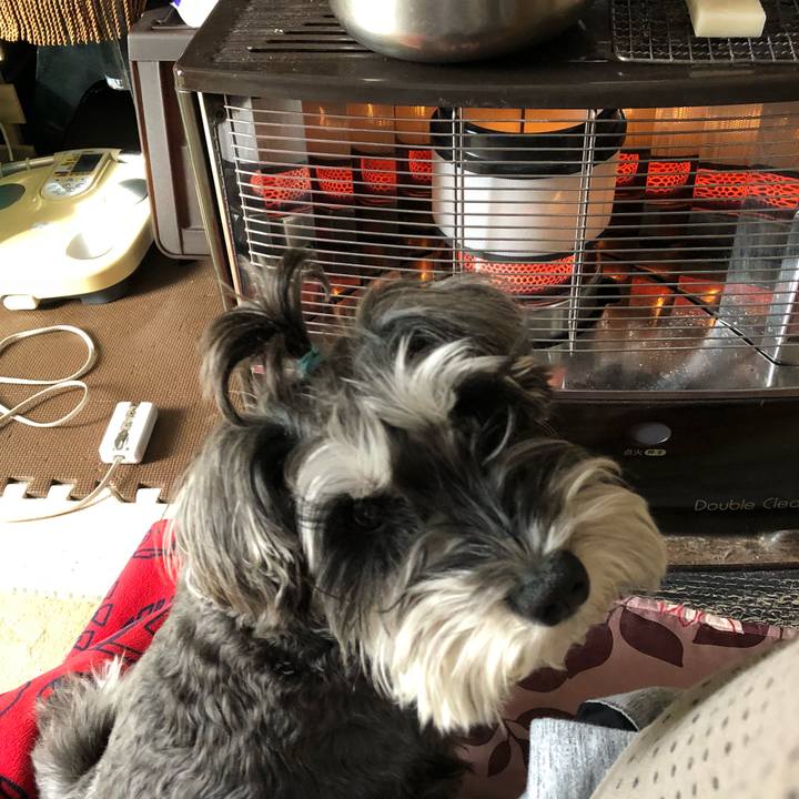 6d91a0d6 5dc8 45ce baf9 203541573966 1515291721278