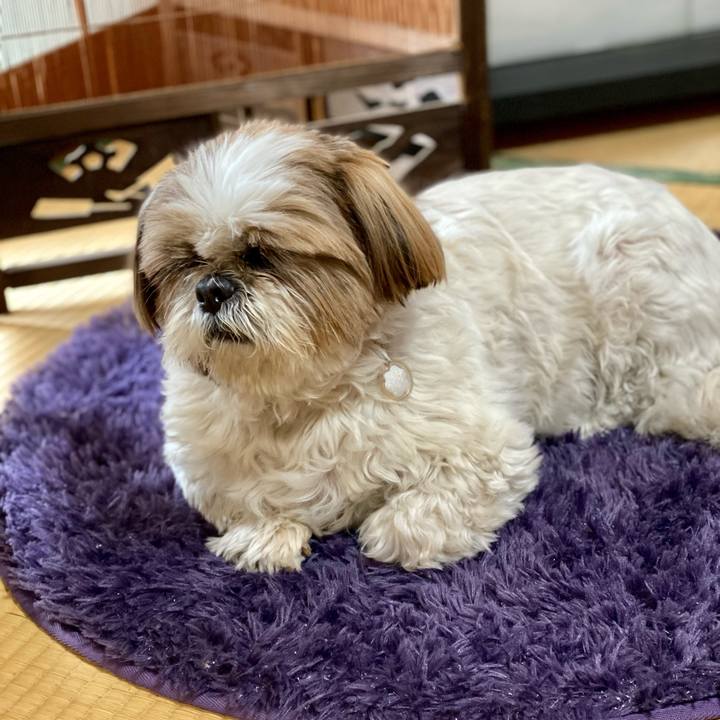 6d925fca 57c3 43a6 b833 7b3158edffe7 1615428283590