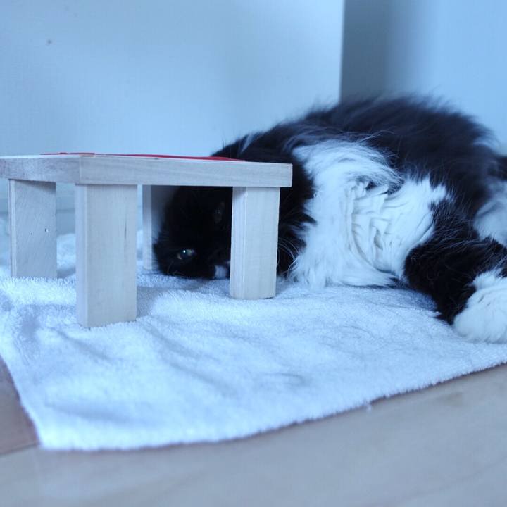 6d927f41 2fa8 4494 b89f 16ce648a604f 1530450396535