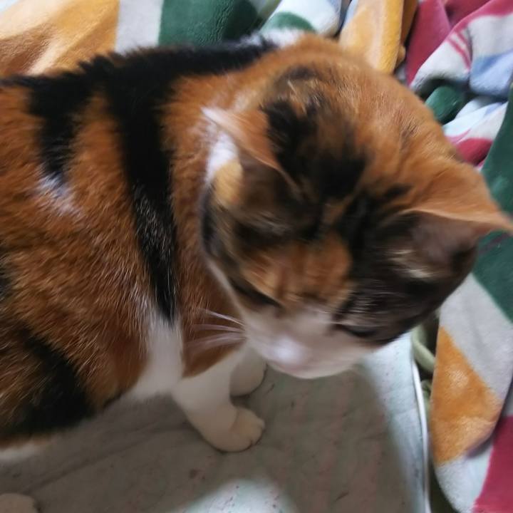 6d92ffcd 8bf4 472d 95fd a7261e7b914e 1560462507071