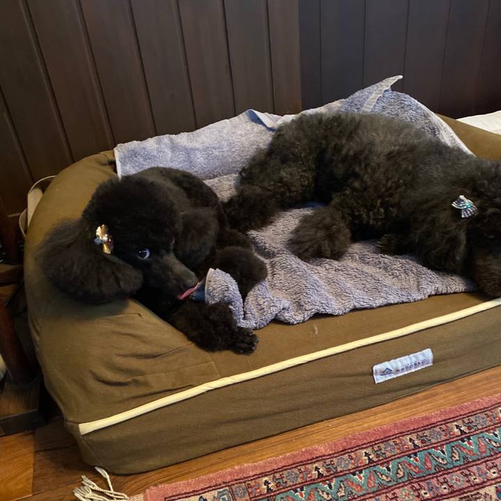 6d93036d e07d 4fa3 ab79 972a8d9b0cee 1596609056299