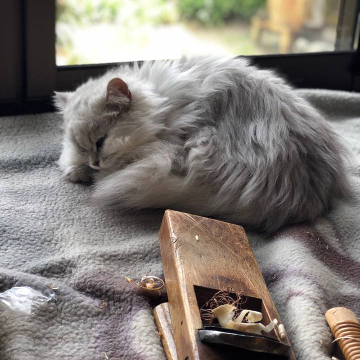 6d933995 82bd 40df 9719 c4cec2e02d5f 1556492789135