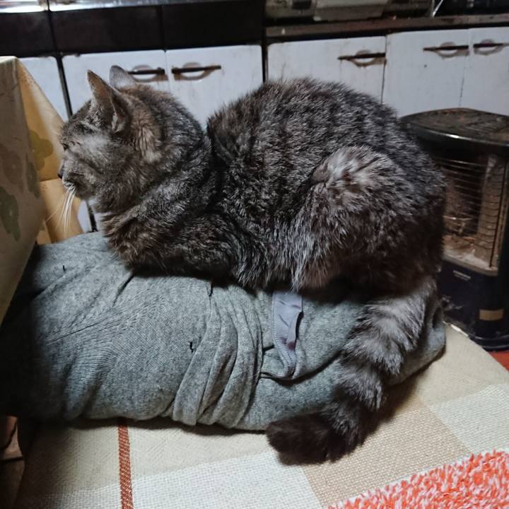 6d934240 afc6 4f41 9284 2d2b2aa53486 1577265290315