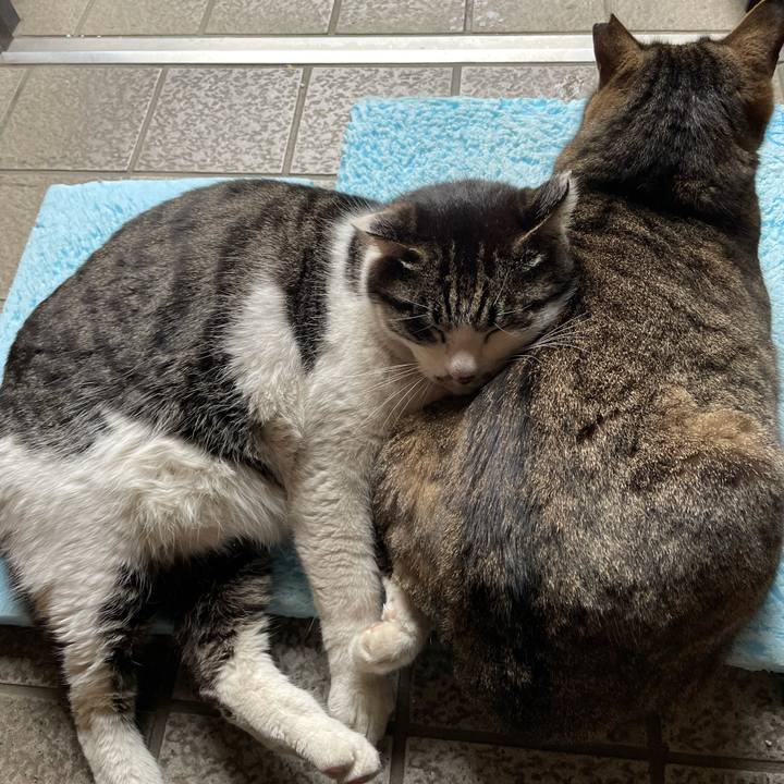 6d934f55 13e5 4577 8d14 6565530fa9b5 1615605752499