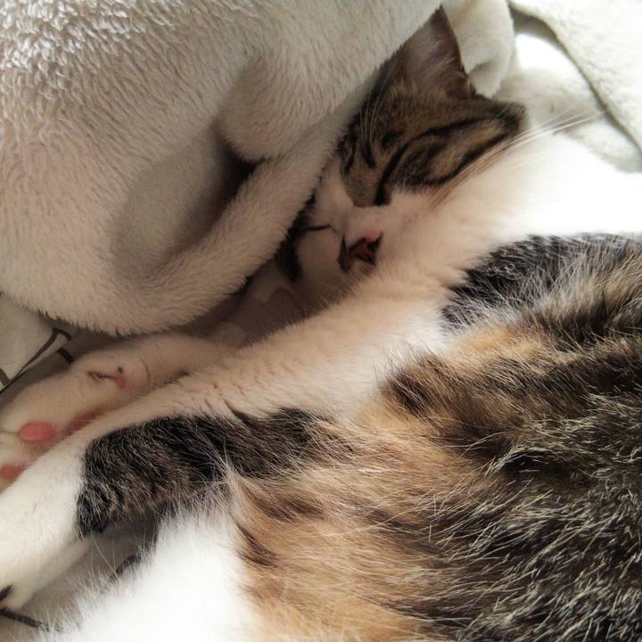 6d936b28 55bc 4672 b91f 2432d82a57dd 1651727606702