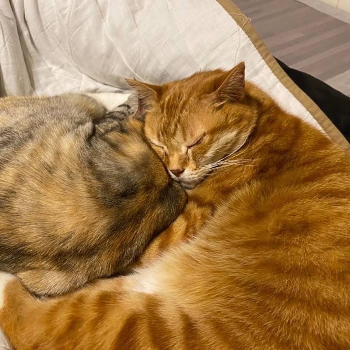 6d9379e1 9b9c 4133 b775 c6abb6ad3560 1619443299129