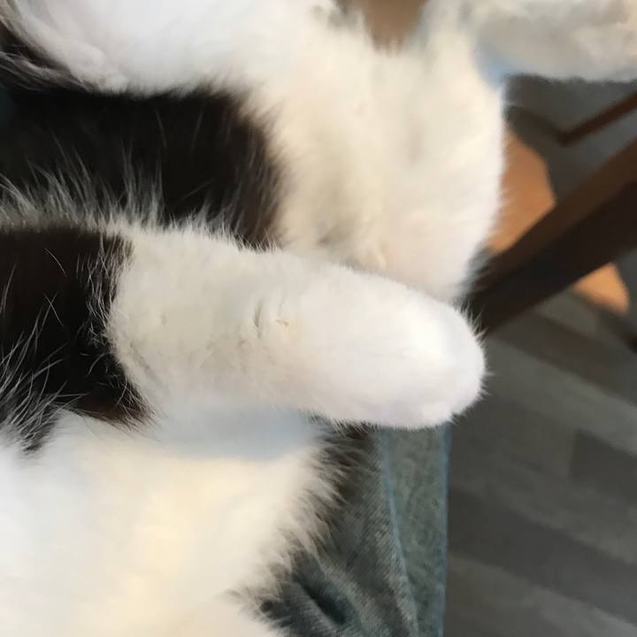 6d93b13a 4528 43dc b299 12766f18e1c2 1550629797051