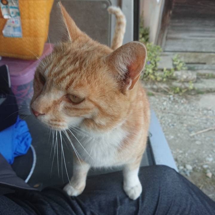 6d93d060 6bc2 4bcd b364 aad4cc728536 1587977786454