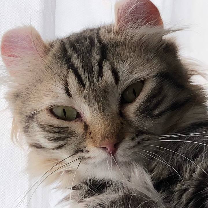 6d947c96 b79e 4e9f a3a1 180ce947518b 1523052652355