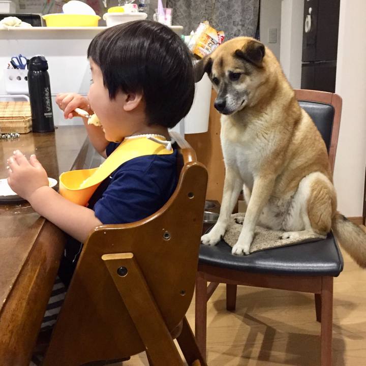 6d947fed 96b8 4bf3 b291 d1e5f6788793 1528464133567