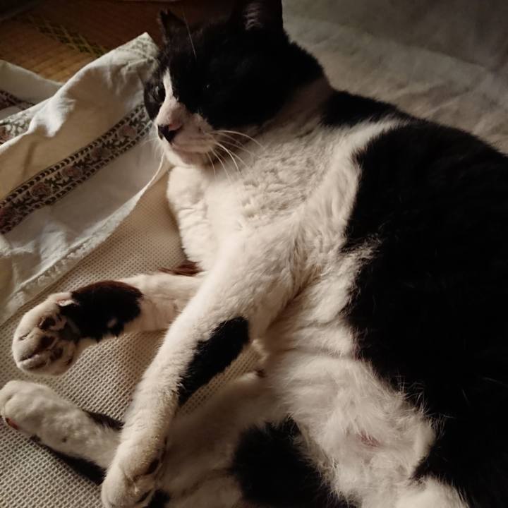 6d948ffe b4c6 439c a2bc 49b81deef8c3 1630988476248