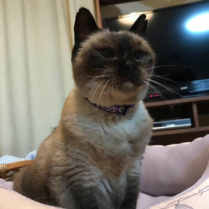 6d94b386 442d 47f8 9252 a4a677c79769 1565962612055