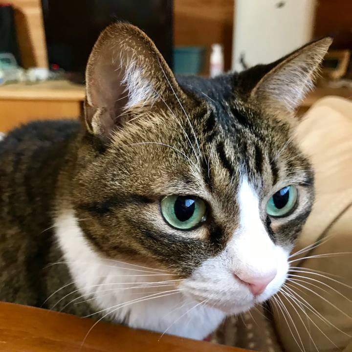 6d94fb3b a615 4c26 a98b e17e988000ad 1545178262390